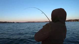 Winter bass fishing fun on Lake Norman (Catch and Release)