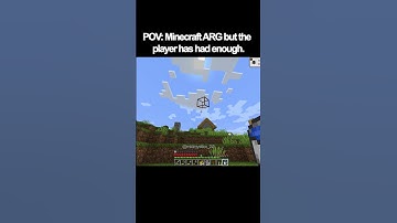 POV minecraft arg but the player has had enough.
