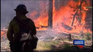 Wildland FireFighting Prescribed Burn