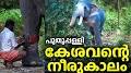 Video for Puthuppally Elephants Official