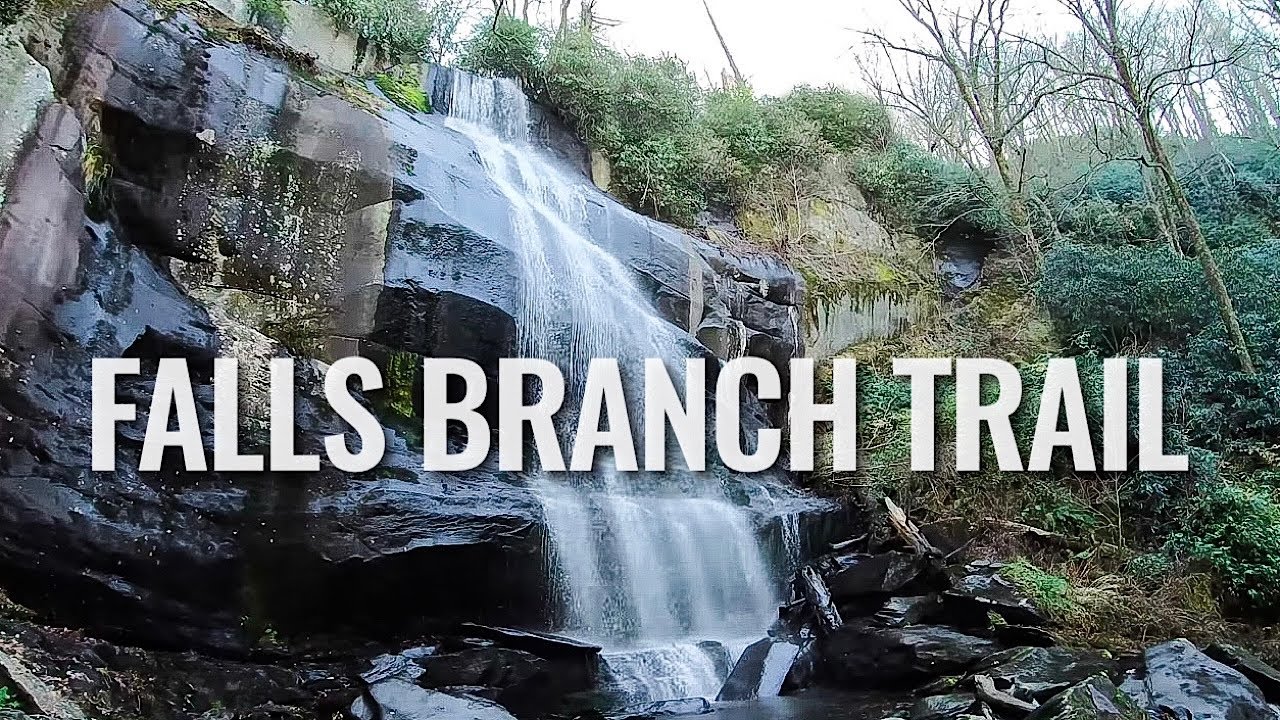 Hiking Falls Branch Trail Cherokee National Forest [4K] YouTube