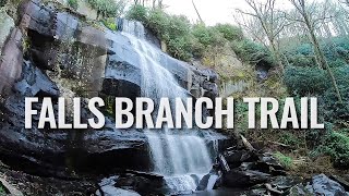 Hiking Falls Branch Trail - Cherokee National Forest [4K]