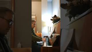 Benim Için Üzülme..bergen Resimi