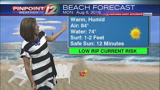 Pinpoint Weather 12 Forecast