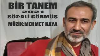 Bestekar Mehmet Kaya - Bi̇r Tanem 2021