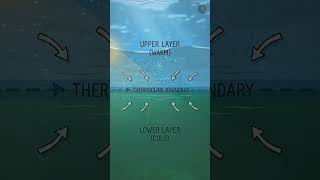 Nature Ka Magic: 1 Lake, 2 Worlds (Science Explained) 😱 | #shorts #youtubeshorts #ytshortsindia