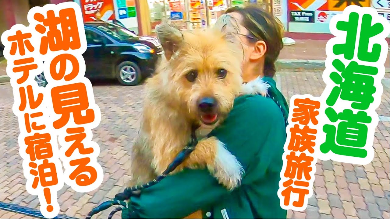 北海道のペットと泊まれる宿で大満喫してきました！