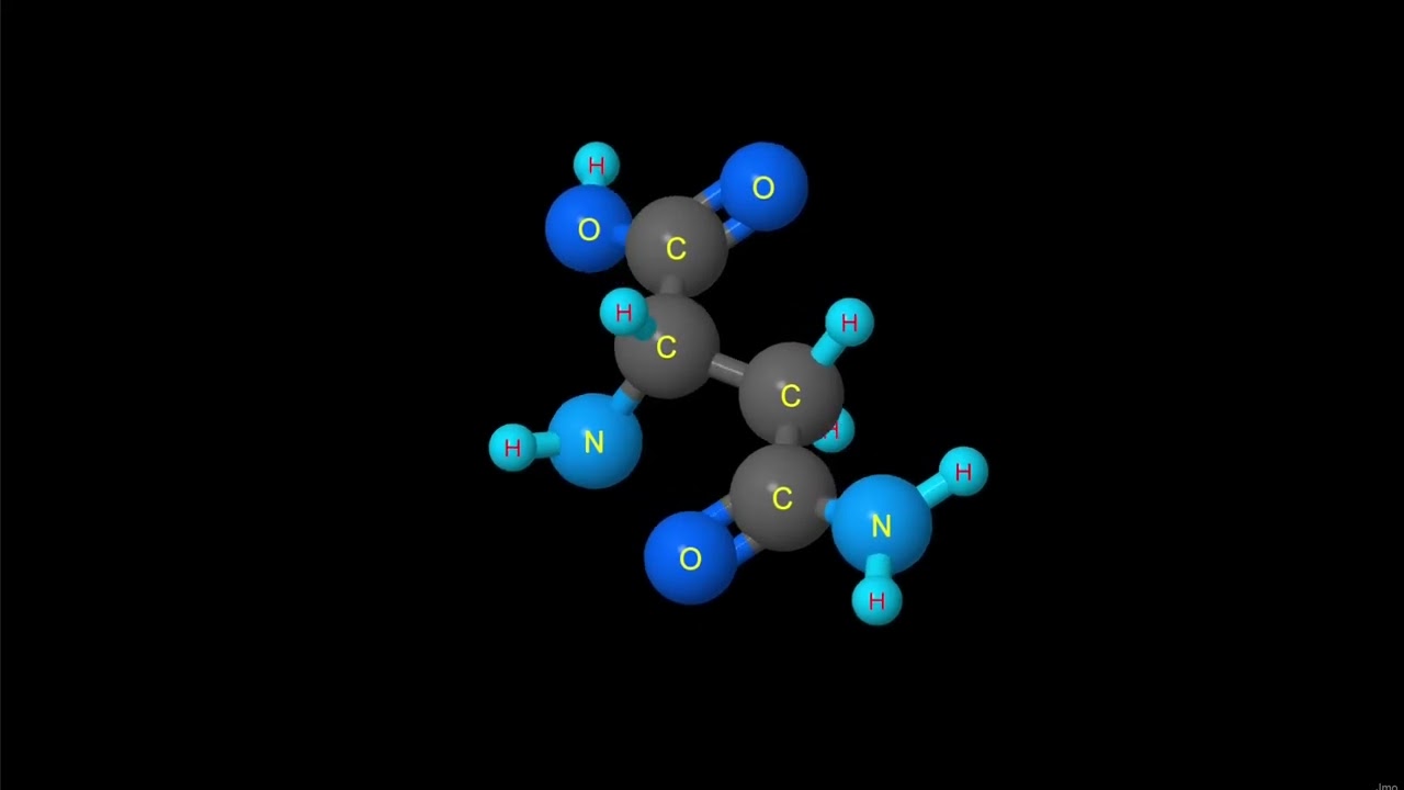 L-ASPARAGINA ( ASN )