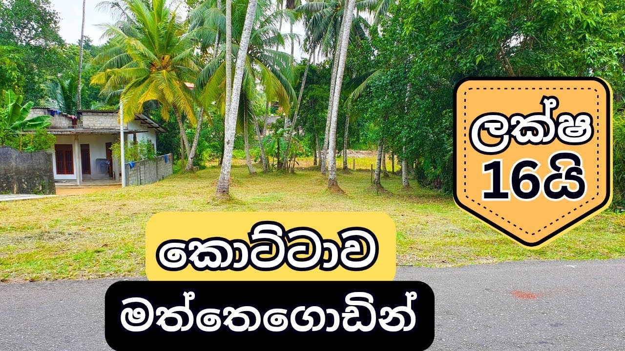 කොට්ටාව මත්තේගොඩින් වටිනා බිම් කොටසක් විකිණීමට