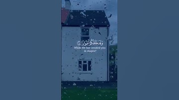 فقلت استغفروا ربكم انه كان غفّارا | #تلاوات #اسلام_صبحي #تلاوة_خاشعة #مغفرة #عبدالرحمن_مسعد #القرآن