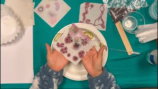 World of nature: 4. Cochineal pH indicator dying