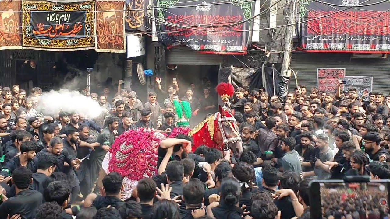 9 Muharram 2024 | Baramdagi Zuljanah o Tazia | ImamBargah Atiyya Ahlybait Nicholson Road Lahore |