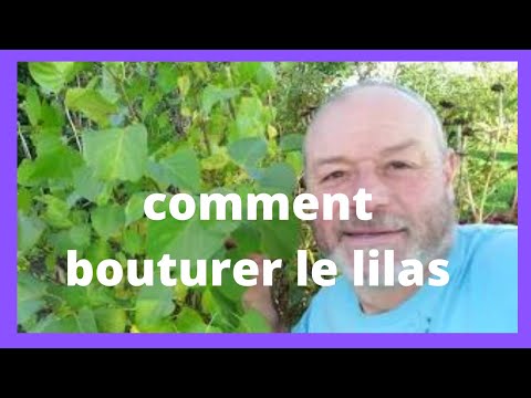 Vidéo: Comment améliorer le sol (avec des images)