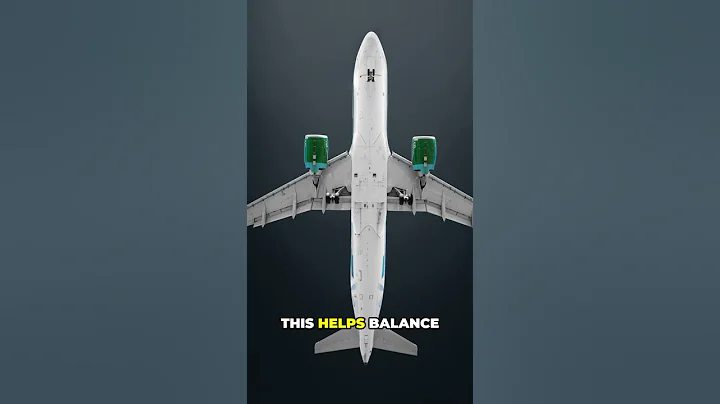 Where’s the Fuel located in a plane? #plane #fuel #heavy