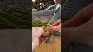How to make a mini willow bird feeder!