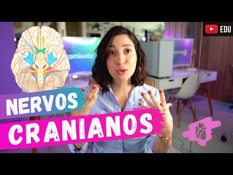 Vídeo: Qual nervo craniano entra no tórax?