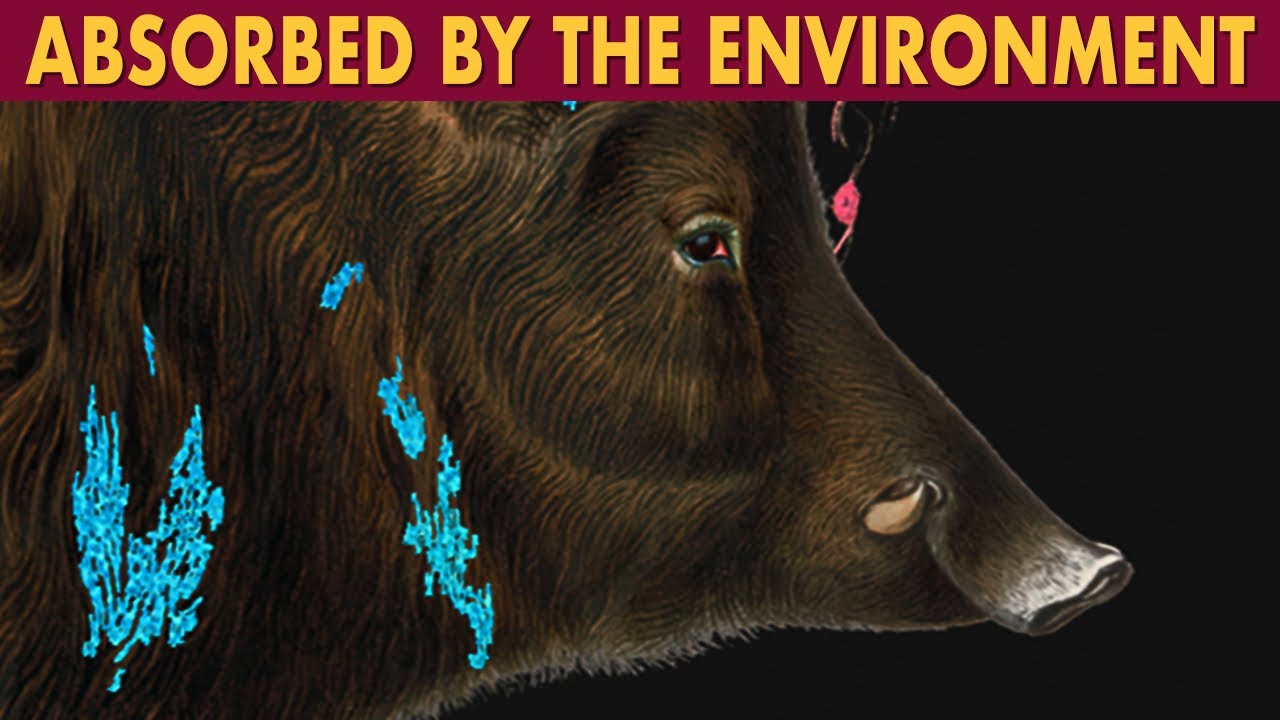 Jeff VanderMeer's “Annihilation”