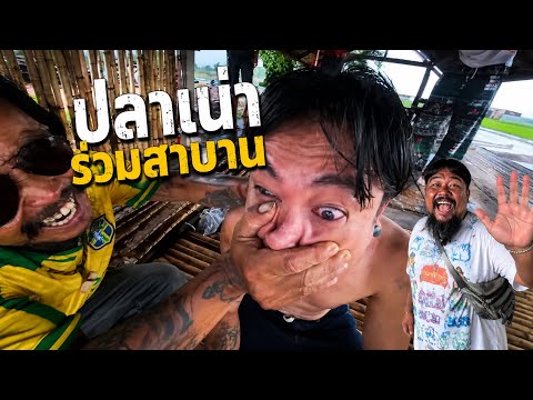 (รีบดูก่อนโดนลบ) เที่ยวปราจีน ตาเเจ้ง ราชาปลาเน่า - กินปลาเน่าเคล้าทุ่งนา
