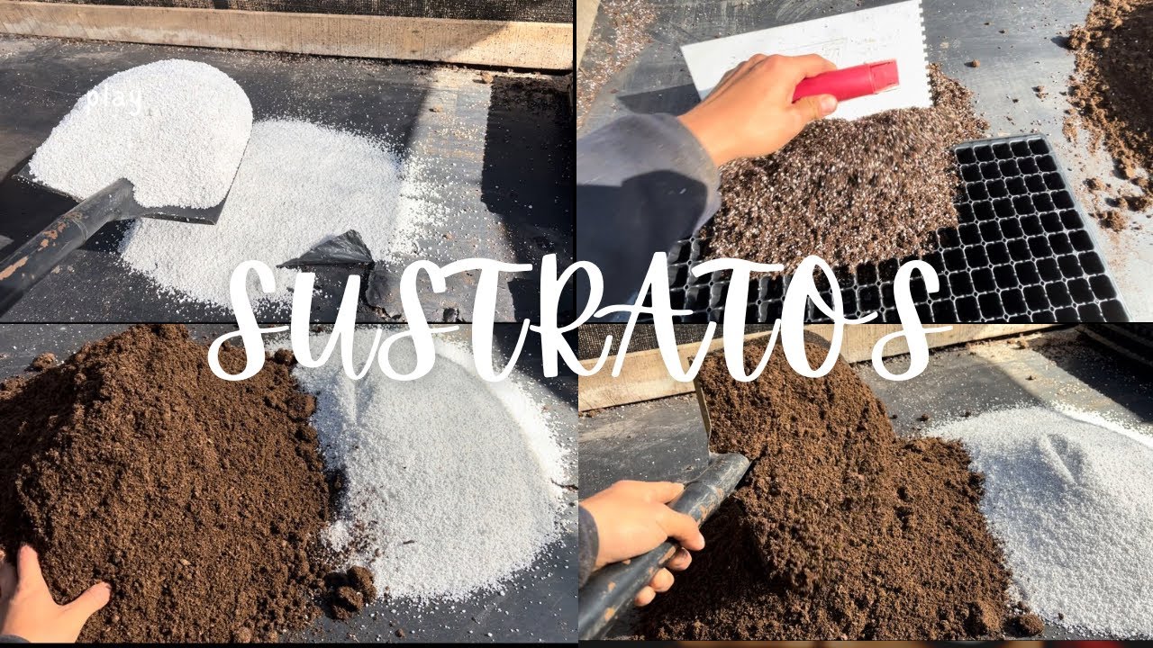 SECRETOS DE VIVERO 🌱/ Sustrato para propagar 🍃 / Como hacer un buen sustrato