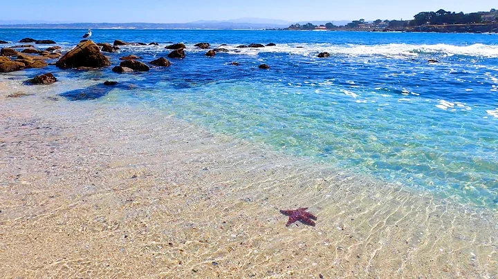 Beach Day: 3 Hours of Soothing Blue From California (4K Video)