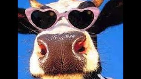 [ WED201c ] BUỔI 1 - ÔN TẬP HTML CSS CƠ BẢN