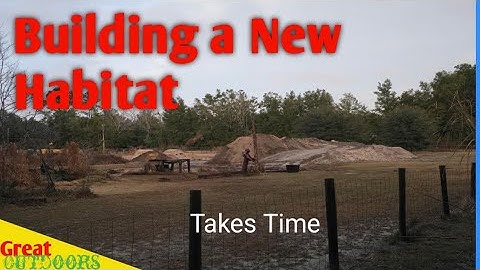 Small Actions, Big Impact: How Tiny Changes Shape an Ecosystem Over Time