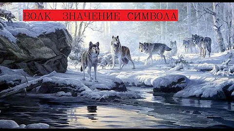 Волк символ значение. Волк интересные факты. Татуировка волк что означает