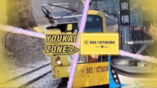 Youkai Zone Bee Network