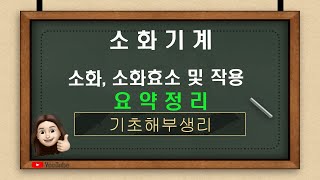 [해부생리] 1.소화기계- 소화, 소화효소 및 작용 요약정리