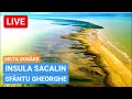 🔴 LIVE - INSULA SACALIN - SFÂNTU GHEORGHE | Delta Dunării