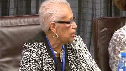 International Observer Group in Nigerian for 2015 Election