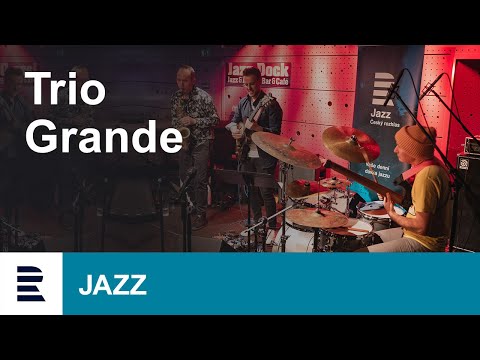 Trio Grande (Vinson/Hekselman/Wood) | ČRo Jazz Fest 2022