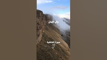 أَفَلَا يَنظُرُونَ إِلَى الْإِبِلِ كَيْفَ خُلِقَتْ ❤️😴 | سورة الغاشية - الآية 17 إلى 22