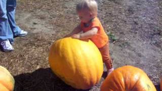 The Pumpkin Patch 2008