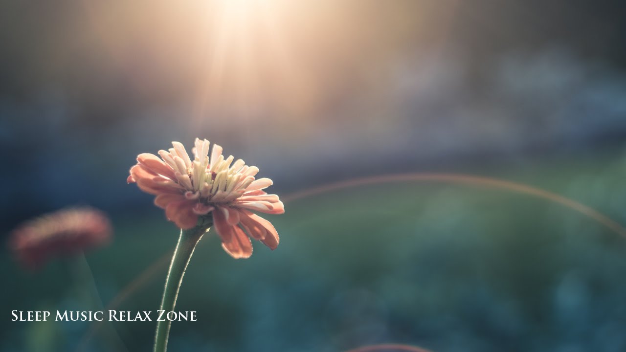 Watch Canción de Paz 🎶 Música para el Alma, Bienestar del Cuerpo y de la Mente, Música para Sanar on YouTube Watch Canción de Paz 🎶 Música para el Alma, Bienestar del Cuerpo y de la Mente, Música para Sanar on YouTube