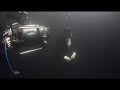 Capture de la vidéo Thylacine - Sheremetiev (Backstage Interview)