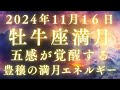2024年11月16日牡牛座満月・五感が覚醒する『豊かさとリバティー』豊穣の満月エネルギーを最大限に受け取る・ポジティブエネルギーを高めマインドセットを豊かさに向ける・生音ソルフェジオ周波数528Hz