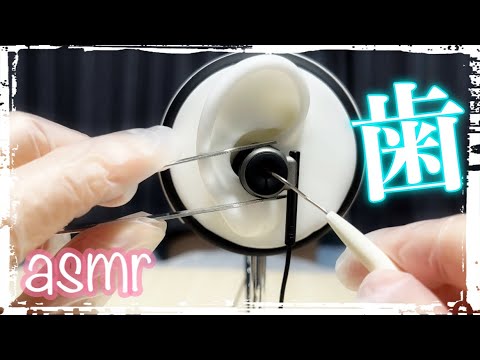 【ASMR】歯科器具で 音圧強めの耳かき音/ ガチで眠れる音 / Ear Cleaning / 睡眠用【No Talking】