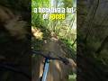 This trail is fast
