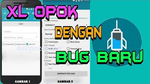 Payload xl dengan bug baru... Speed nya mantap gan