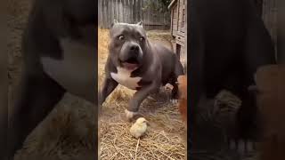 video 0260807 210412 e