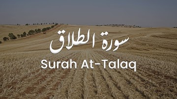 سورة الطلاق للشيخ علي البراق | المصحف المرتل