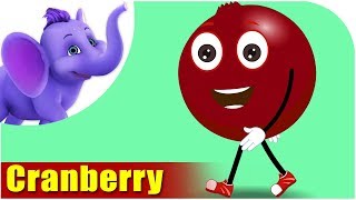 Cranberry - Fruit Rhyme In Ultra Hd 4K