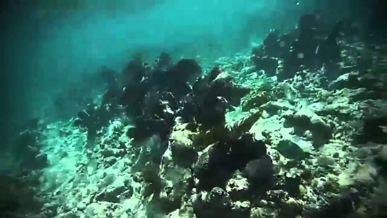 Key Largo YouTube