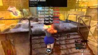 Cod5 Mods! iBetreyy's 1.5.3 Mod menu/ Forge/ VerifiCation!
