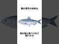 魚へんの漢字に関する明日使える雑学 #shorts #雑学