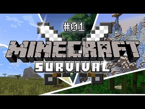 Minecraft Let's play......👍👍