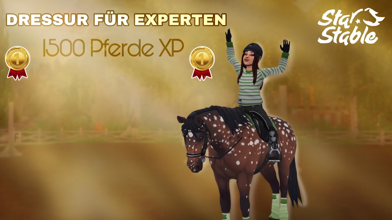 SSO Dressur Training für Experten🐴🏅 [Star Stable online]