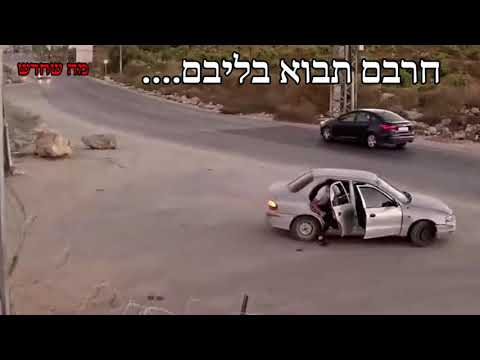 וִידֵאוֹ: ורד סודני: תמונה, תועלת ופגיעה