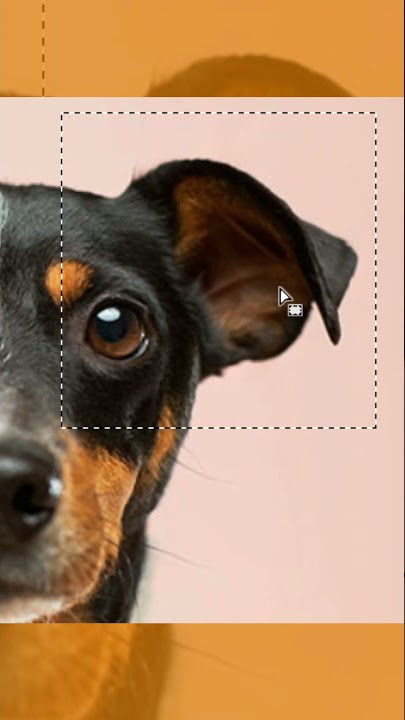 How to use rectangular marquee tool for cut #short